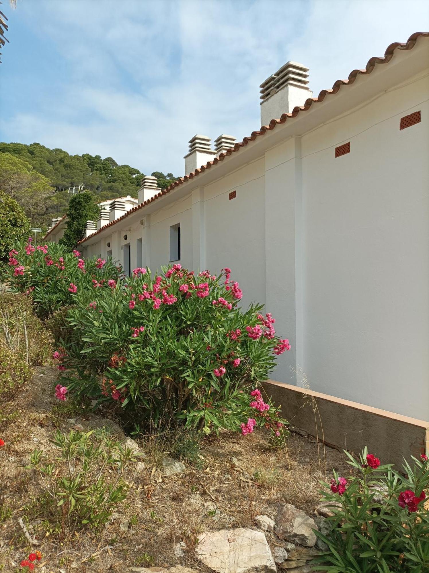 "Le Balcon De La Mer" Residence "Icaros"-Wifi-Piscine-Parking Begur Kültér fotó